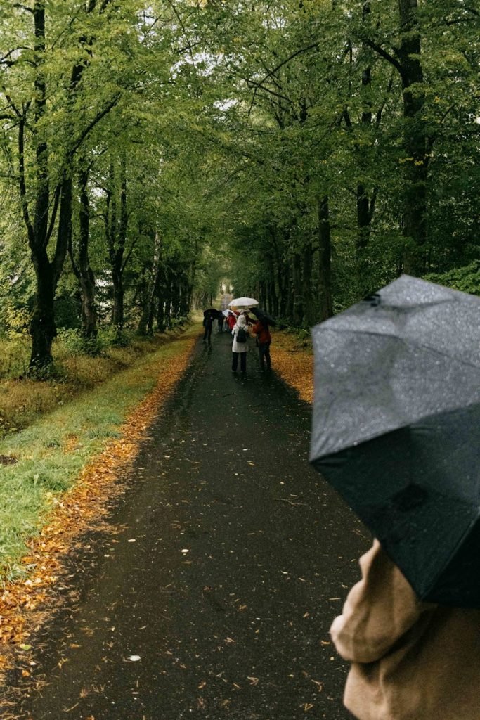 walk in shower vs wet room in glasgow bathrooms